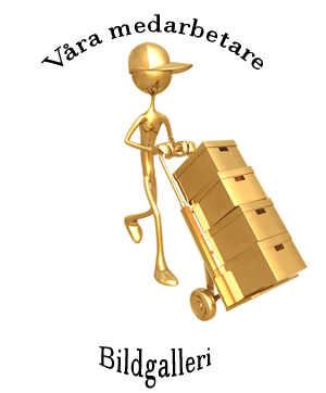 Våra medarbetare